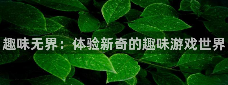 杏耀网页登录网址