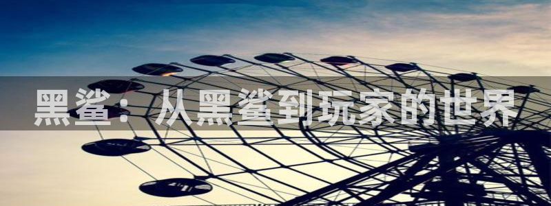 杏耀平台官网：黑鲨：从黑鲨到玩家的世界