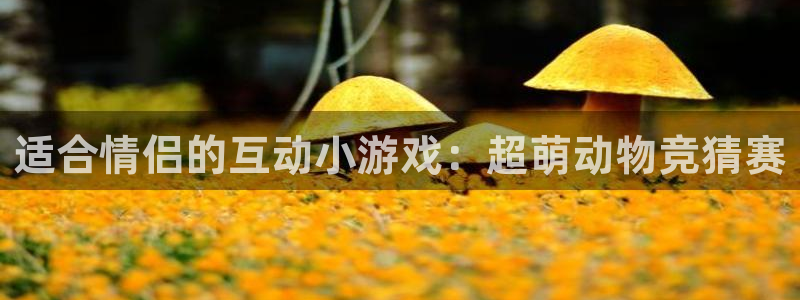 杏耀平台网站：适合情侣的互动小游戏：超萌动物竞猜赛