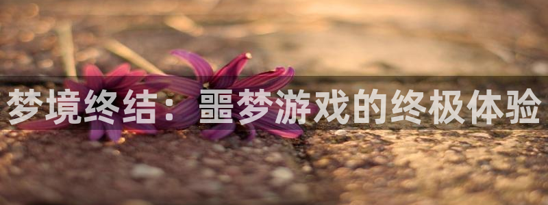 杏耀线路测速中心