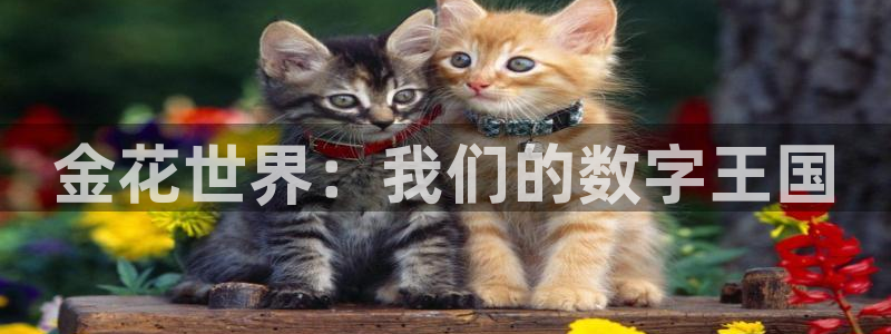 杏耀网页手机登录