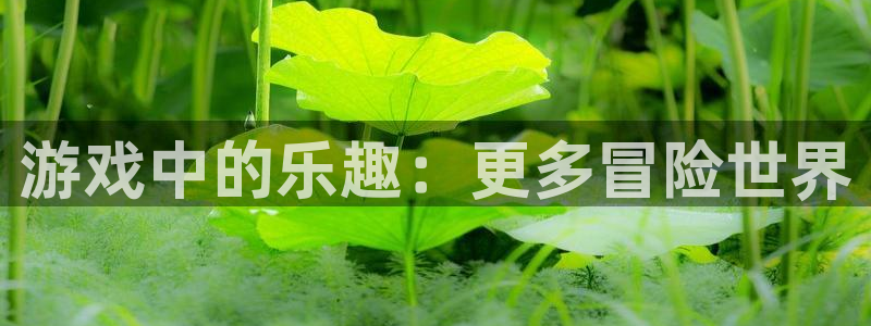 杏耀登录网：游戏中的乐趣：更多冒险世界