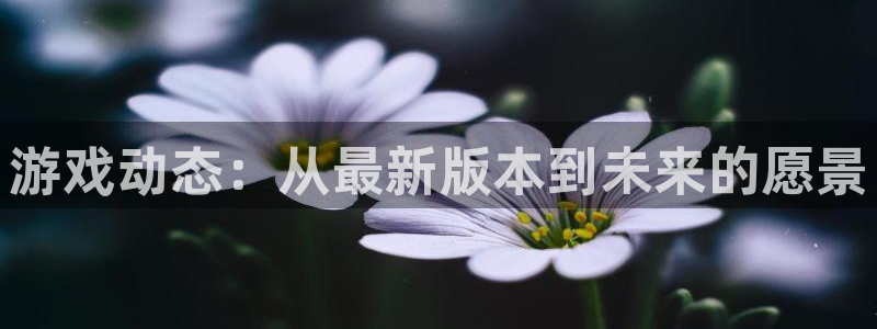 杏耀手机版：游戏动态：从最新版本到未来的愿景