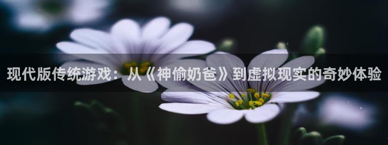 杏耀平台官方网站：现代版传统游戏：从《神偷奶爸》到虚拟现实的