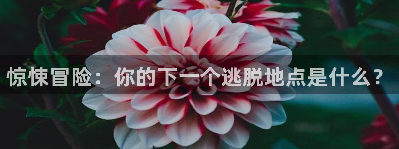 杏耀平台登录：惊悚冒险：你的下一个逃脱地点是什么？