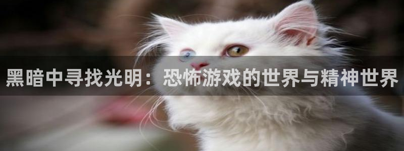 杏耀登陆地址：黑暗中寻找光明：恐怖游戏的世界与精神世界