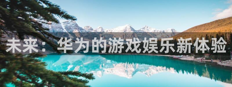 杏耀平台娱乐注册