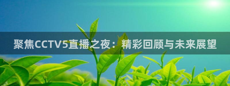 看球吧直播：聚焦CCTV5直播之夜：精彩回顾与未来展望