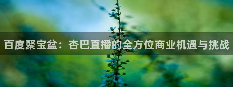 看球吧jrs低调直播：百度聚宝盆：杏巴直播的全方位商业机遇与挑战