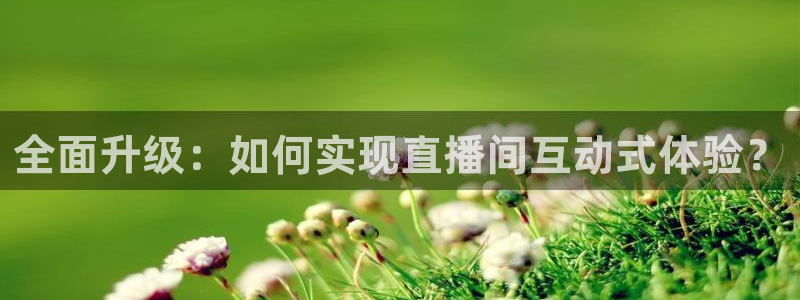 看球吧jrs直播nba：全面升级：如何实现直播间互动式体验？